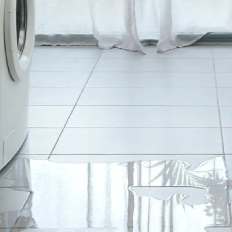Appliance Leak Cleanup in South Pasadena, FL