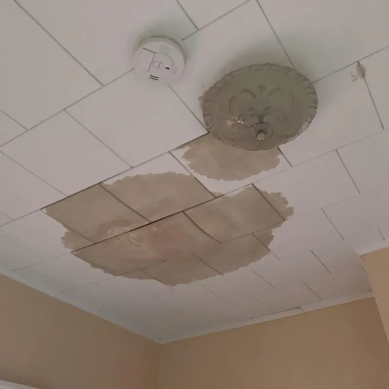 Ceiling Water Damage Repair in South Pasadena, FL