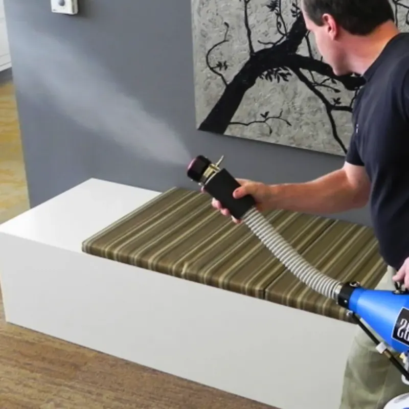 Professional Odor Removal in South Pasadena, FL
