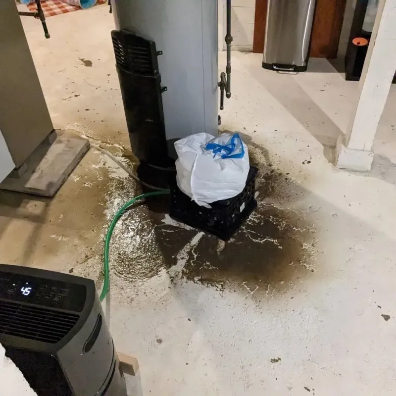 Sewage Backup Cleanup Service in South Pasadena, FL